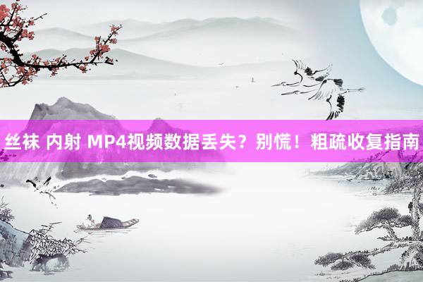 丝袜 内射 MP4视频数据丢失？别慌！粗疏收复指南