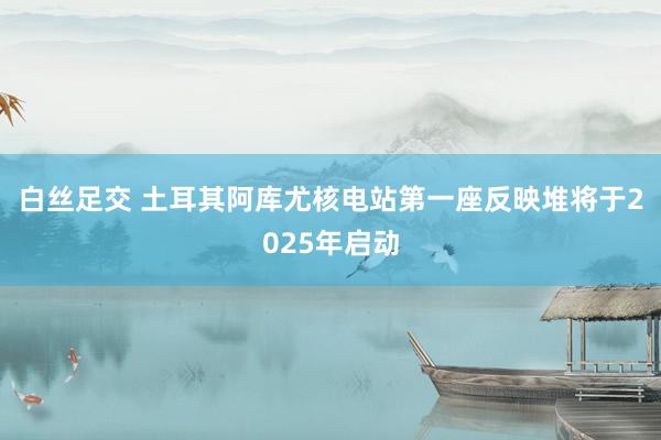 白丝足交 土耳其阿库尤核电站第一座反映堆将于2025年启动