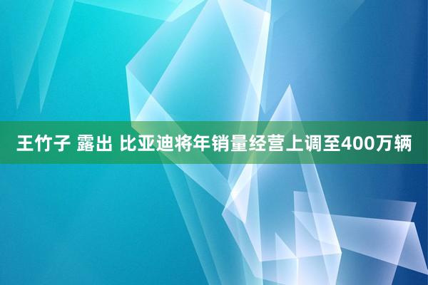 王竹子 露出 比亚迪将年销量经营上调至400万辆