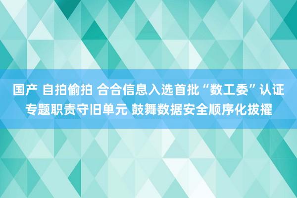 国产 自拍偷拍 合合信息入选首批“数工委”认证专题职责守旧单元 鼓舞数据安全顺序化拔擢