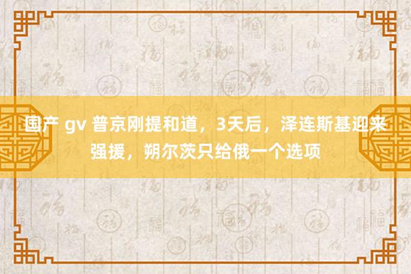 国产 gv 普京刚提和道，3天后，泽连斯基迎来强援，朔尔茨只给俄一个选项