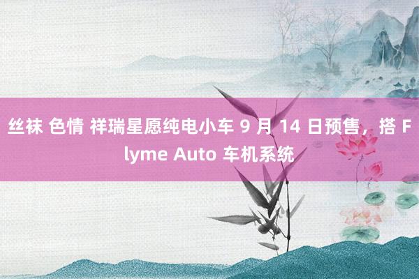 丝袜 色情 祥瑞星愿纯电小车 9 月 14 日预售，搭 Flyme Auto 车机系统