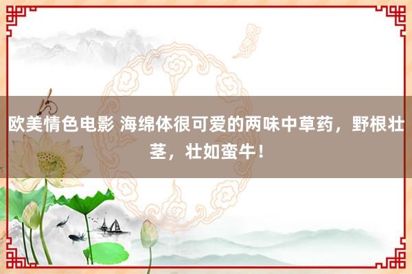 欧美情色电影 海绵体很可爱的两味中草药，野根壮茎，壮如蛮牛！