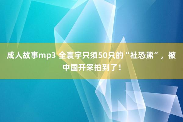 成人故事mp3 全寰宇只须50只的“社恐熊”，被中国开采拍到了！