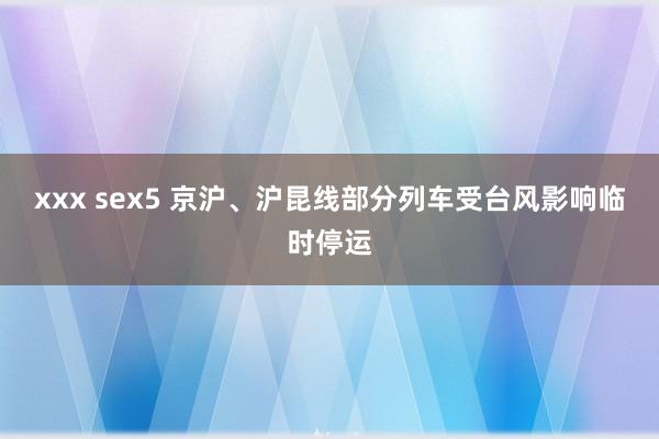 xxx sex5 京沪、沪昆线部分列车受台风影响临时停运