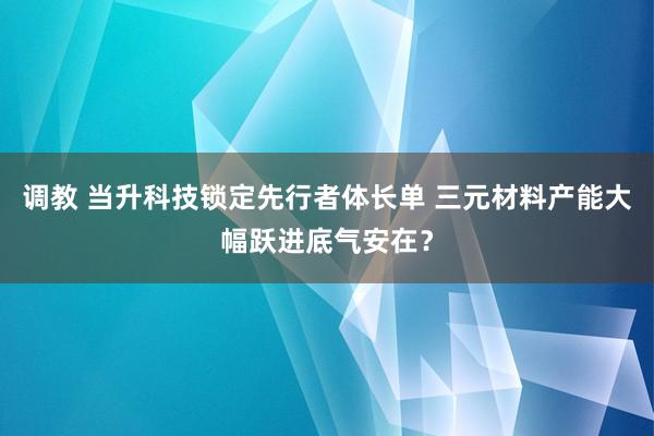 调教 当升科技锁定先行者体长单 三元材料产能大幅跃进底气安在？