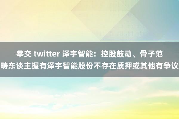 拳交 twitter 泽宇智能：控股鼓动、骨子范畴东谈主握有泽宇智能股份不存在质押或其他有争议