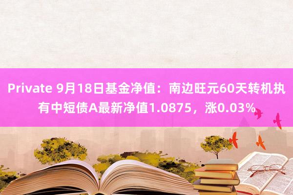 Private 9月18日基金净值：南边旺元60天转机执有中短债A最新净值1.0875，涨0.03%