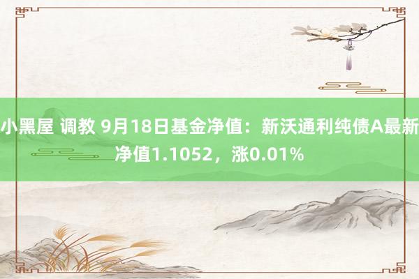 小黑屋 调教 9月18日基金净值：新沃通利纯债A最新净值1.1052，涨0.01%