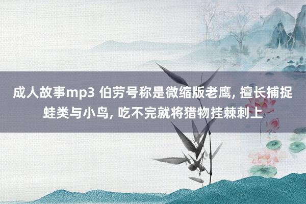 成人故事mp3 伯劳号称是微缩版老鹰， 擅长捕捉蛙类与小鸟， 吃不完就将猎物挂棘刺上