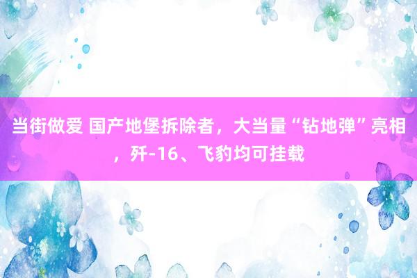 当街做爱 国产地堡拆除者，大当量“钻地弹”亮相，歼-16、飞豹均可挂载