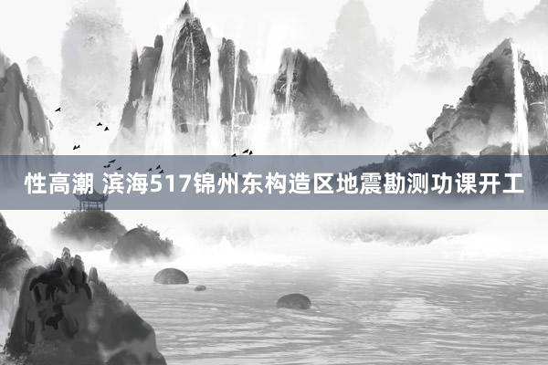 性高潮 滨海517锦州东构造区地震勘测功课开工