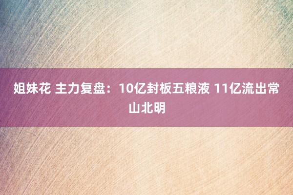 姐妹花 主力复盘：10亿封板五粮液 11亿流出常山北明