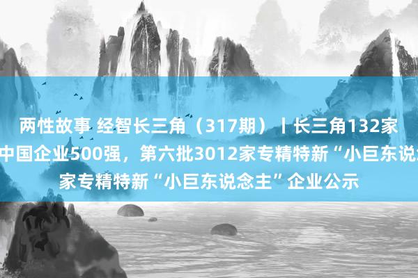 两性故事 经智长三角（317期）丨长三角132家企业入围2024中国企业500强，第六批3012家专精特新“小巨东说念主”企业公示