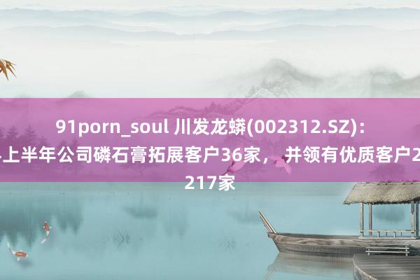 91porn_soul 川发龙蟒(002312.SZ)：2024上半年公司磷石膏拓展客户36家， 并领有优质客户217家