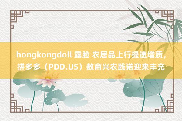 hongkongdoll 露脸 农居品上行提速增质，拼多多（PDD.US）数商兴农践诺迎来丰充