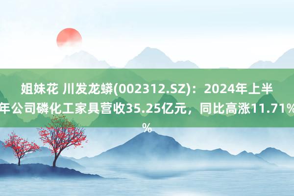 姐妹花 川发龙蟒(002312.SZ)：2024年上半年公司磷化工家具营收35.25亿元，同比高涨11.71%