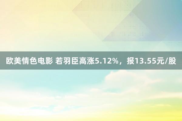 欧美情色电影 若羽臣高涨5.12%，报13.55元/股