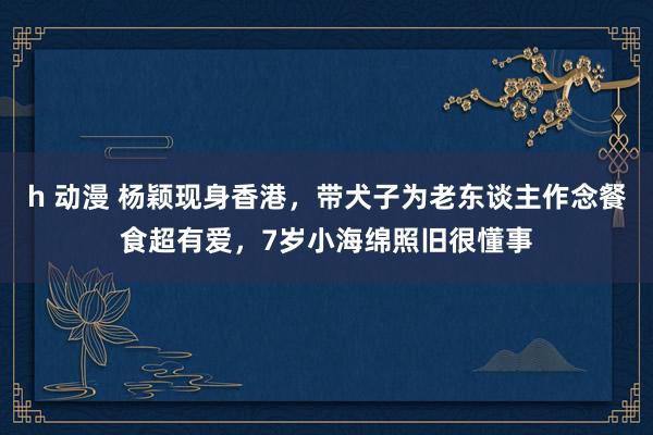 h 动漫 杨颖现身香港，带犬子为老东谈主作念餐食超有爱，7岁小海绵照旧很懂事