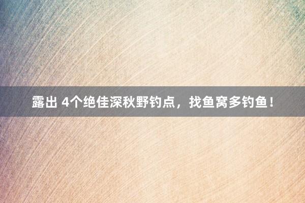 露出 4个绝佳深秋野钓点，找鱼窝多钓鱼！