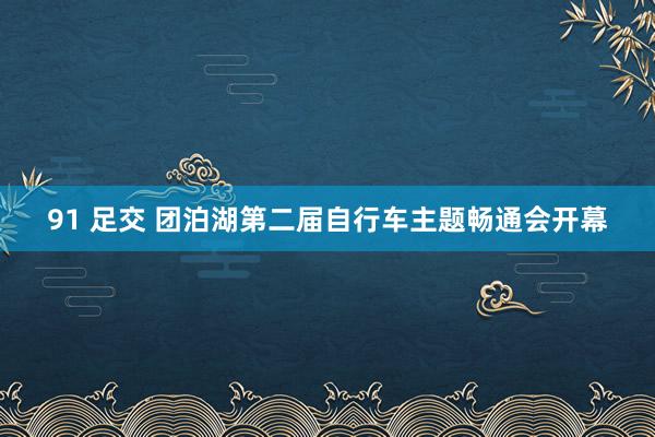 91 足交 团泊湖第二届自行车主题畅通会开幕