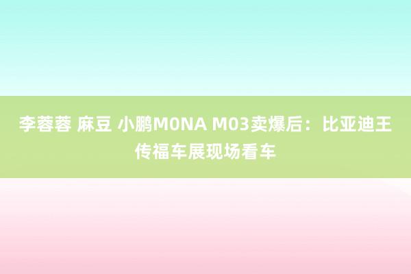 李蓉蓉 麻豆 小鹏M0NA M03卖爆后：比亚迪王传福车展现场看车