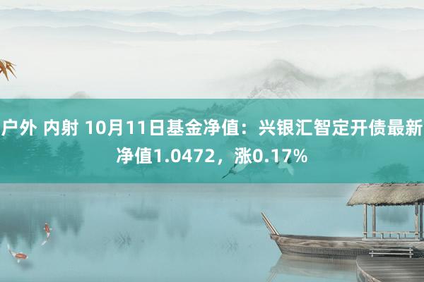 户外 内射 10月11日基金净值：兴银汇智定开债最新净值1.0472，涨0.17%