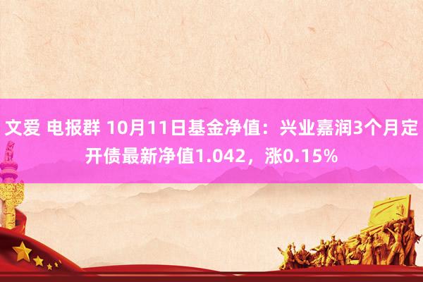 文爱 电报群 10月11日基金净值：兴业嘉润3个月定开债最新净值1.042，涨0.15%