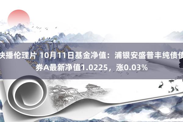 快播伦理片 10月11日基金净值：浦银安盛普丰纯债债券A最新净值1.0225，涨0.03%