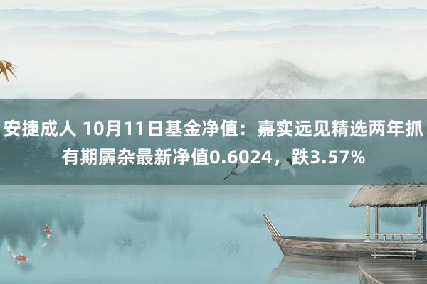 安捷成人 10月11日基金净值：嘉实远见精选两年抓有期羼杂最新净值0.6024，跌3.57%