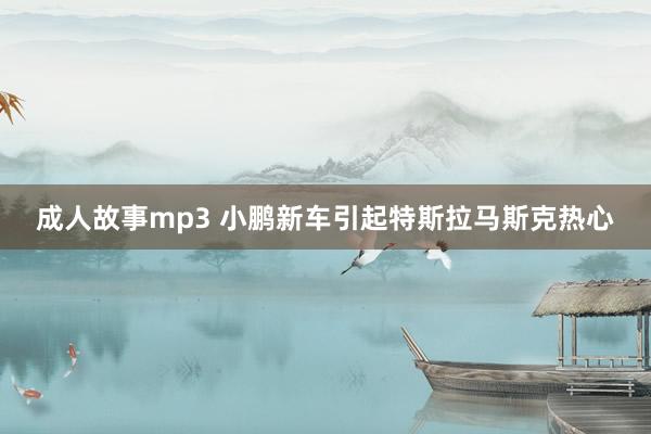 成人故事mp3 小鹏新车引起特斯拉马斯克热心