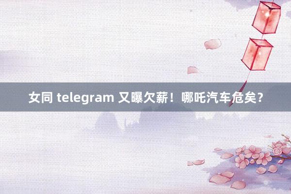 女同 telegram 又曝欠薪！哪吒汽车危矣？