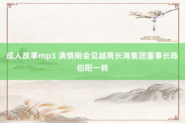 成人故事mp3 满慎刚会见越南长海集团董事长陈伯阳一转