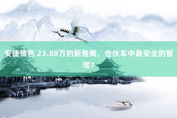 安捷情色 23.88万的新雅阁，合伙车中最安全的智驾？