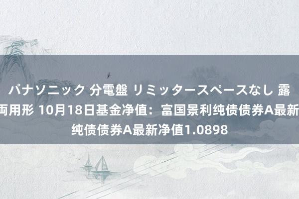 パナソニック 分電盤 リミッタースペースなし 露出・半埋込両用形 10月18日基金净值：富国景利纯债债券A最新净值1.0898