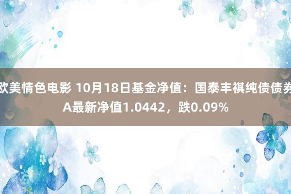 欧美情色电影 10月18日基金净值：国泰丰祺纯债债券A最新净值1.0442，跌0.09%