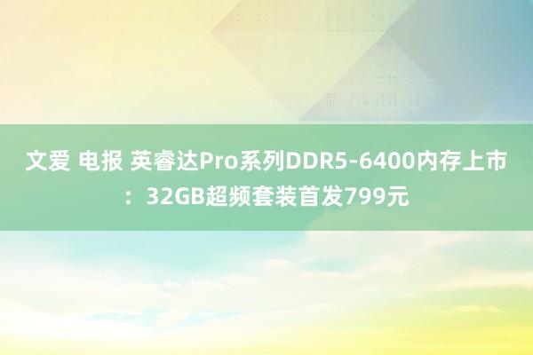 文爱 电报 英睿达Pro系列DDR5-6400内存上市：32GB超频套装首发799元