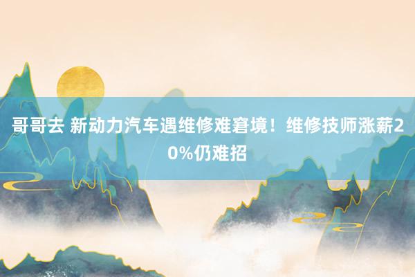 哥哥去 新动力汽车遇维修难窘境！维修技师涨薪20%仍难招