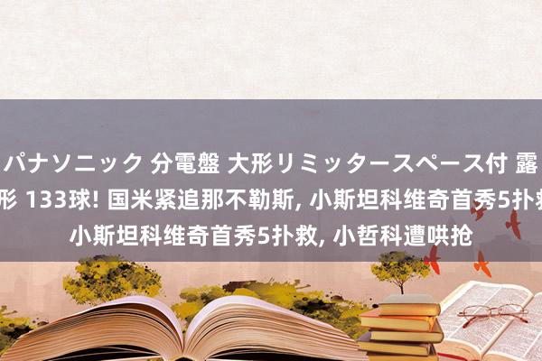 パナソニック 分電盤 大形リミッタースペース付 露出・半埋込両用形 133球! 国米紧追那不勒斯， 小斯坦科维奇首秀5扑救， 小哲科遭哄抢