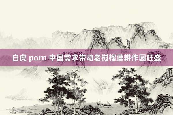 白虎 porn 中国需求带动老挝榴莲耕作园旺盛