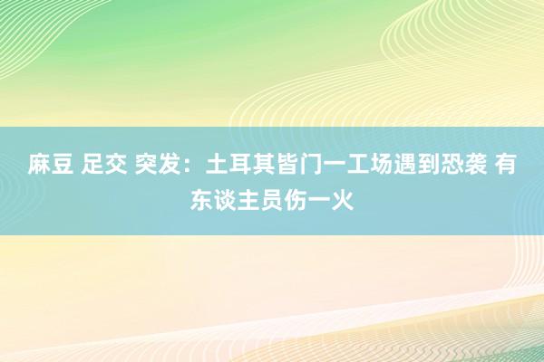 麻豆 足交 突发：土耳其皆门一工场遇到恐袭 有东谈主员伤一火