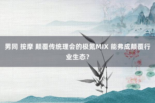 男同 按摩 颠覆传统理会的极氪MIX 能弗成颠覆行业生态？