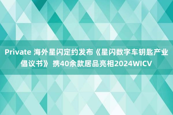 Private 海外星闪定约发布《星闪数字车钥匙产业倡议书》 携40余款居品亮相2024WICV