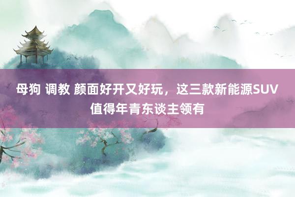 母狗 调教 颜面好开又好玩，这三款新能源SUV值得年青东谈主领有