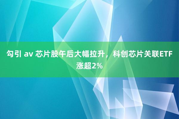 勾引 av 芯片股午后大幅拉升，科创芯片关联ETF涨超2%