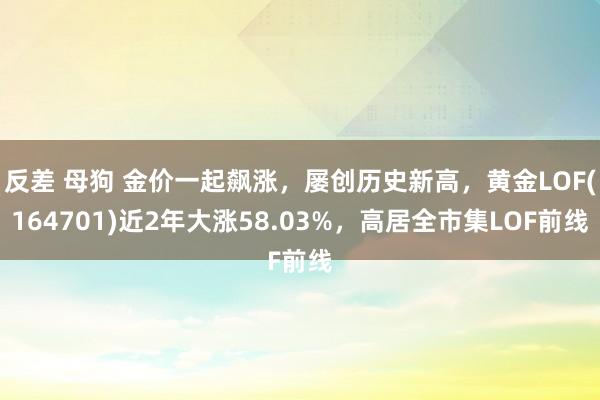 反差 母狗 金价一起飙涨，屡创历史新高，黄金LOF(164701)近2年大涨58.03%，高居全市集LOF前线