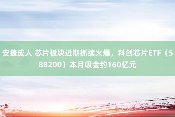 安捷成人 芯片板块近期抓续火爆，科创芯片ETF（588200）本月吸金约160亿元