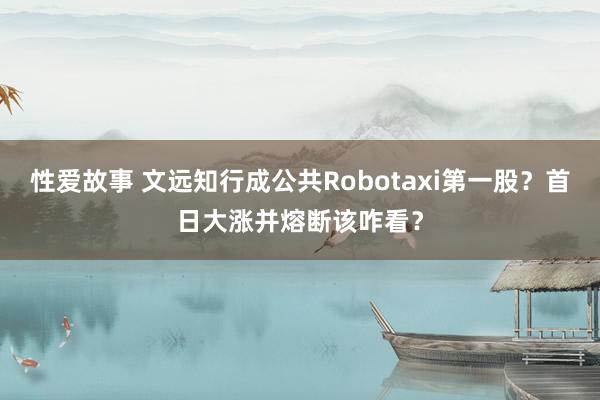 性爱故事 文远知行成公共Robotaxi第一股？首日大涨并熔断该咋看？