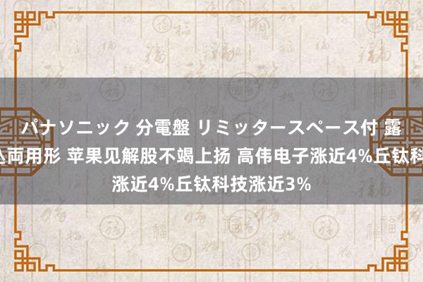 パナソニック 分電盤 リミッタースペース付 露出・半埋込両用形 苹果见解股不竭上扬 高伟电子涨近4%丘钛科技涨近3%