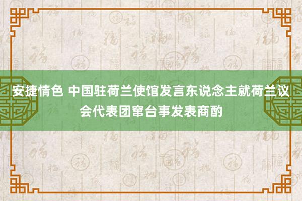 安捷情色 中国驻荷兰使馆发言东说念主就荷兰议会代表团窜台事发表商酌